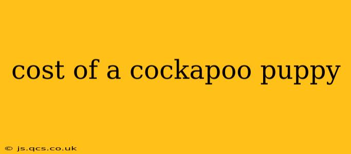 cost of a cockapoo puppy