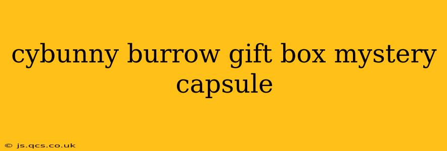 cybunny burrow gift box mystery capsule