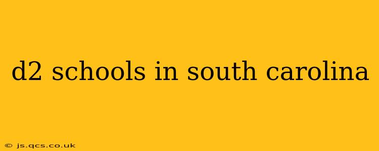 d2 schools in south carolina