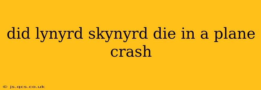 did lynyrd skynyrd die in a plane crash