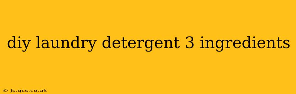 diy laundry detergent 3 ingredients