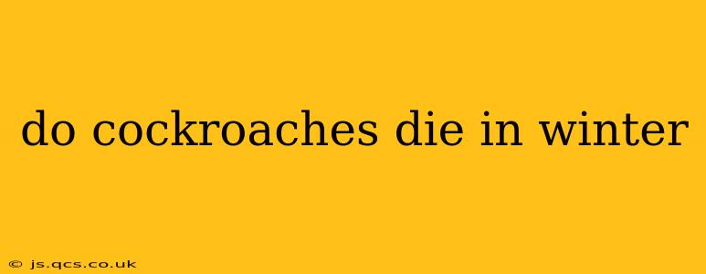do cockroaches die in winter