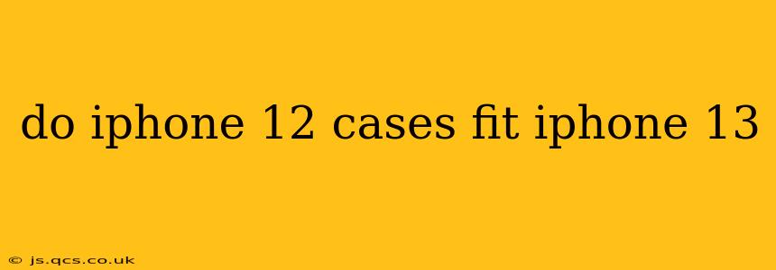 do iphone 12 cases fit iphone 13