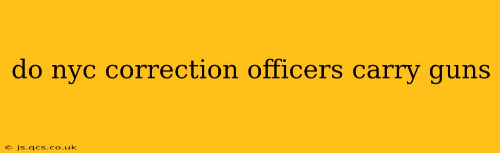 do nyc correction officers carry guns