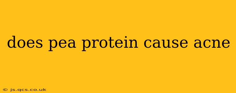 does pea protein cause acne
