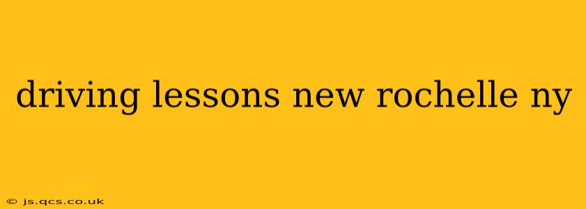 driving lessons new rochelle ny