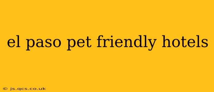 el paso pet friendly hotels