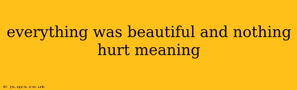 everything was beautiful and nothing hurt meaning
