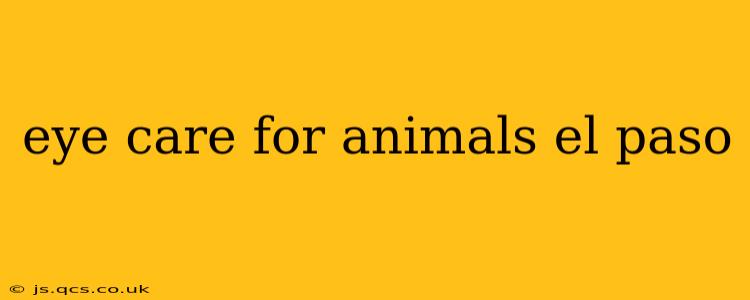 eye care for animals el paso