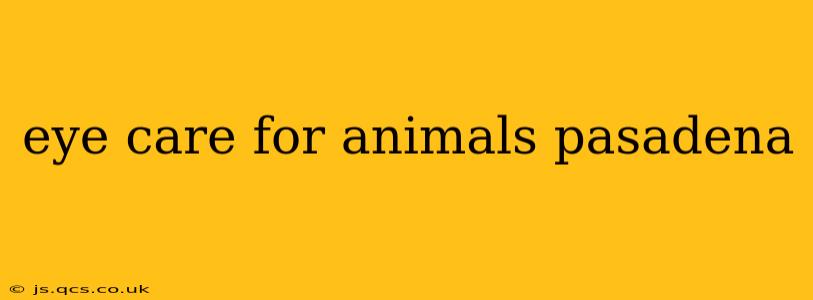 eye care for animals pasadena