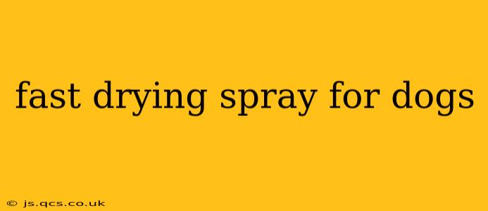 fast drying spray for dogs