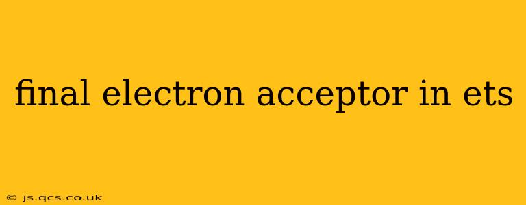 final electron acceptor in ets