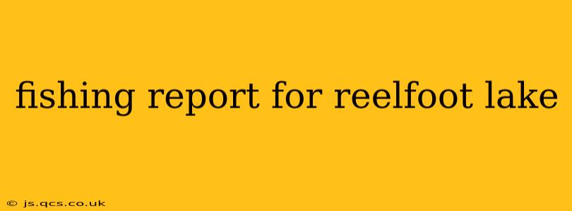 fishing report for reelfoot lake