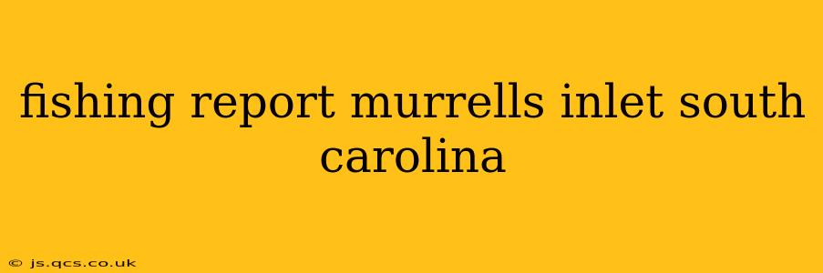fishing report murrells inlet south carolina
