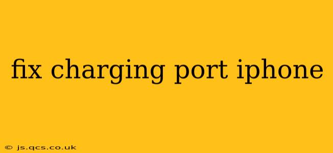 fix charging port iphone