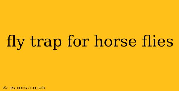 fly trap for horse flies