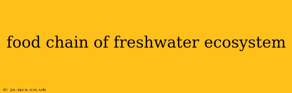 food chain of freshwater ecosystem