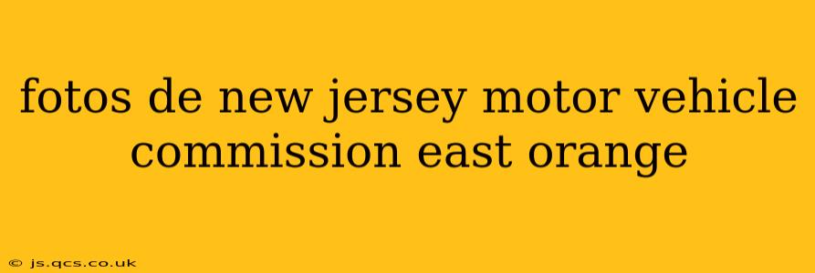 fotos de new jersey motor vehicle commission east orange
