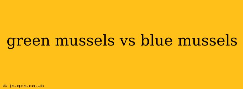 green mussels vs blue mussels