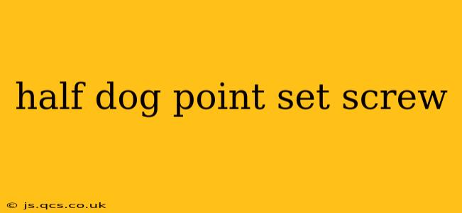 half dog point set screw