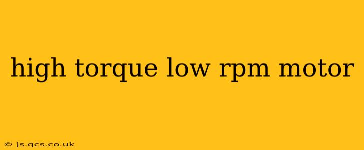 high torque low rpm motor