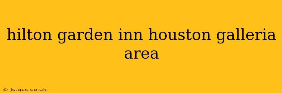 hilton garden inn houston galleria area