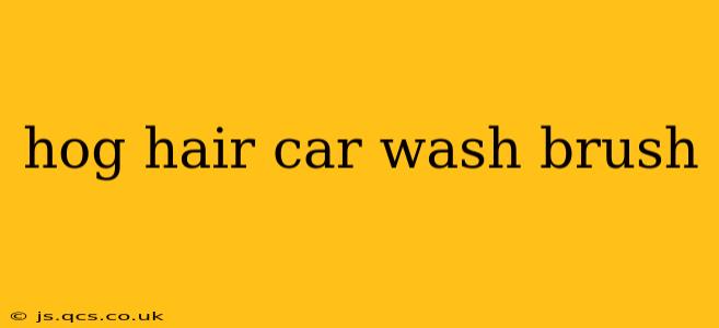 hog hair car wash brush