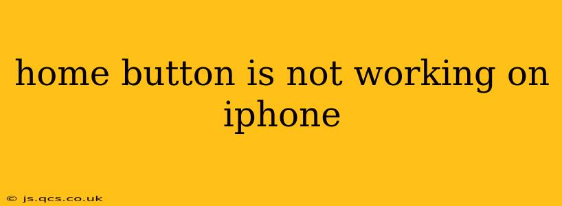 home button is not working on iphone