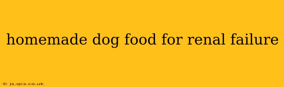 homemade dog food for renal failure