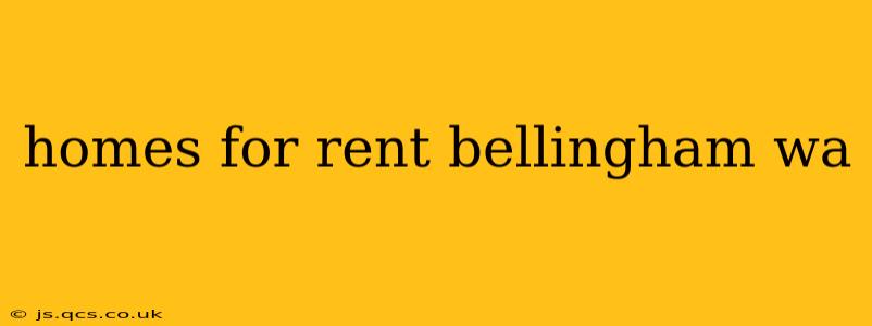 homes for rent bellingham wa