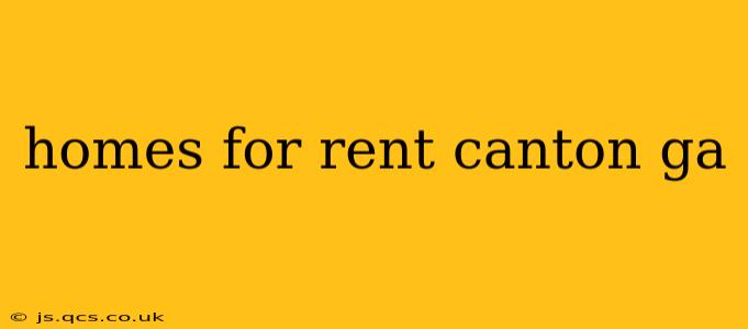 homes for rent canton ga