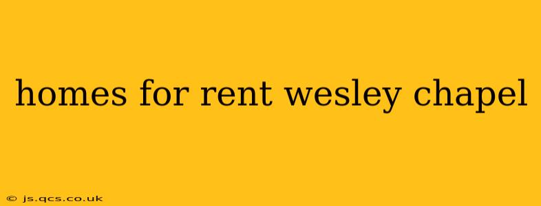 homes for rent wesley chapel