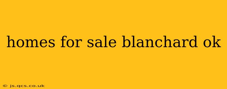 homes for sale blanchard ok