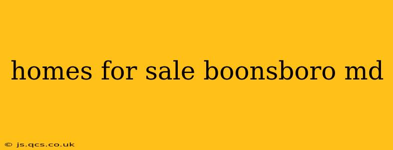 homes for sale boonsboro md