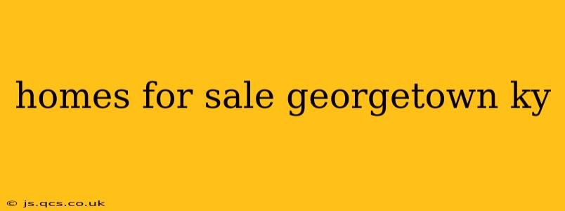 homes for sale georgetown ky