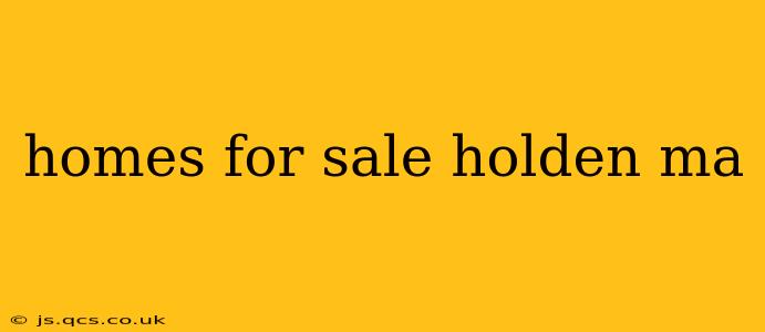 homes for sale holden ma