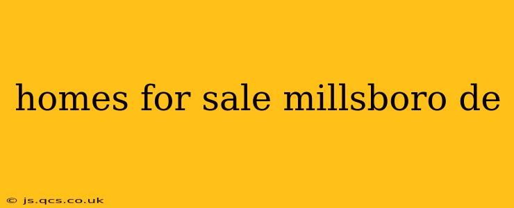homes for sale millsboro de