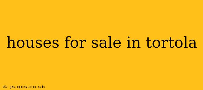 houses for sale in tortola