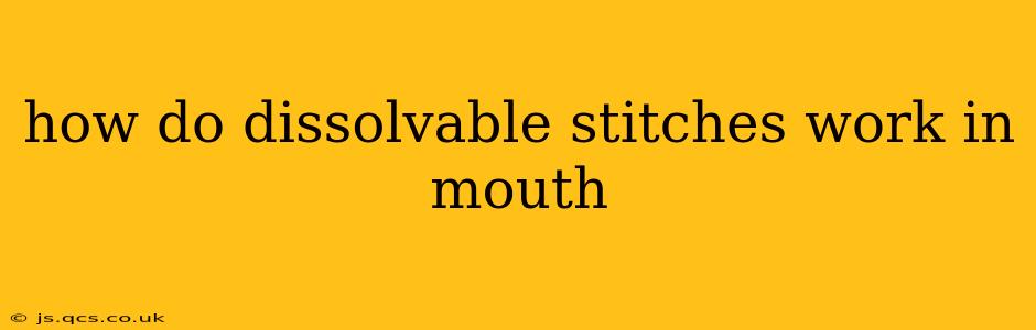 how do dissolvable stitches work in mouth