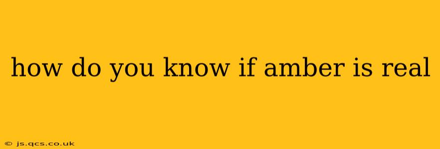 how do you know if amber is real