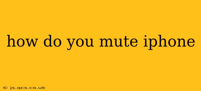 how do you mute iphone