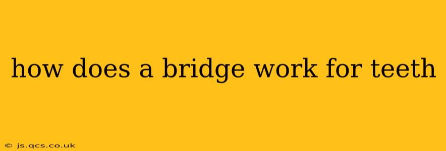 how does a bridge work for teeth