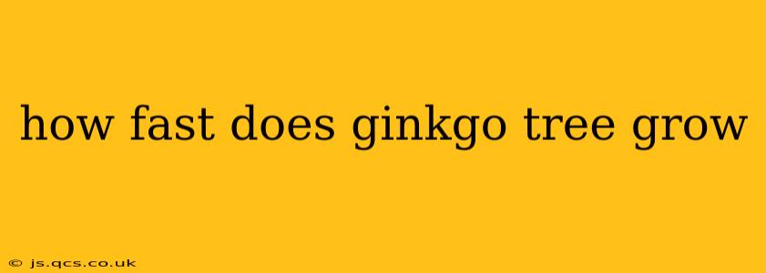 how fast does ginkgo tree grow