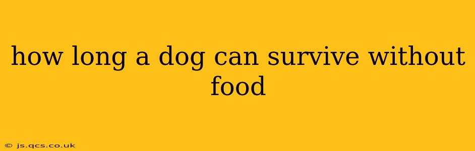 how long a dog can survive without food