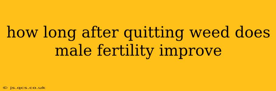how long after quitting weed does male fertility improve