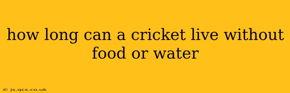how long can a cricket live without food or water
