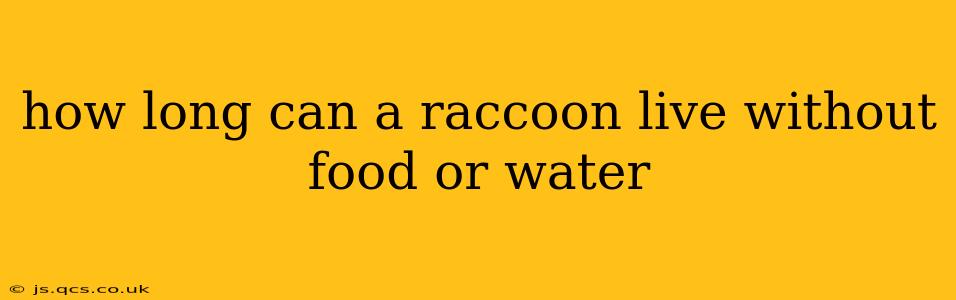 how long can a raccoon live without food or water