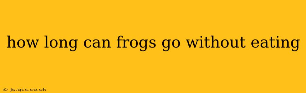 how long can frogs go without eating