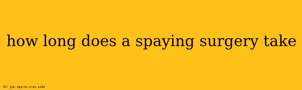how long does a spaying surgery take