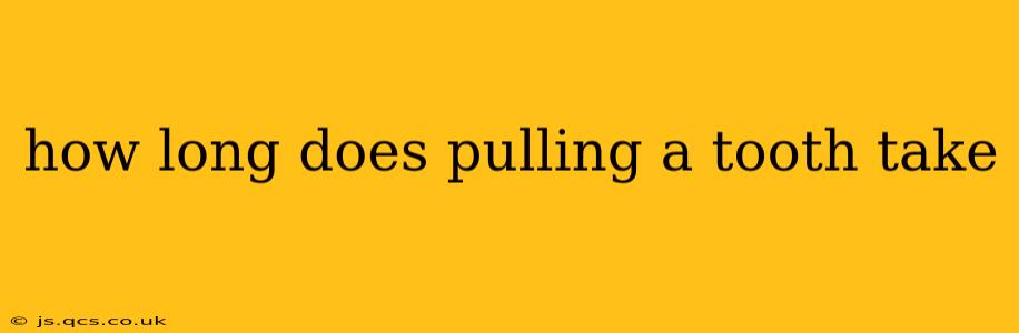 how long does pulling a tooth take